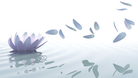 Zen lotus with petals moved by wind